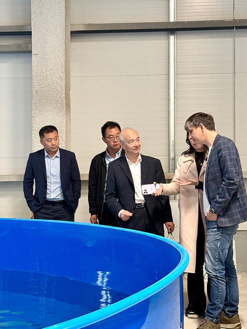 3091762585237935.jpg fdh.jpg